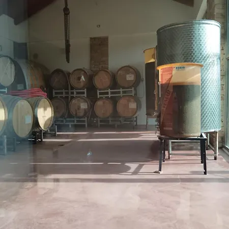 Langhe & Wine Neive