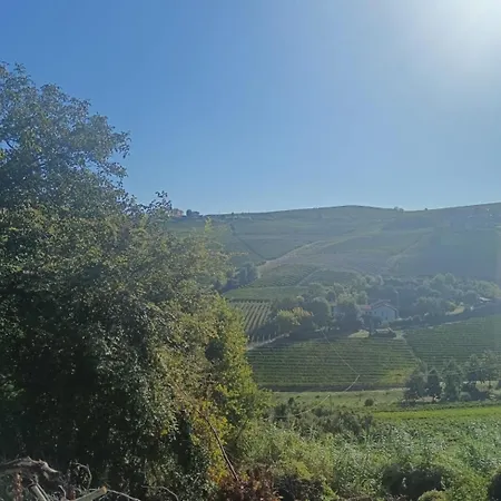 Langhe & Wine Neive